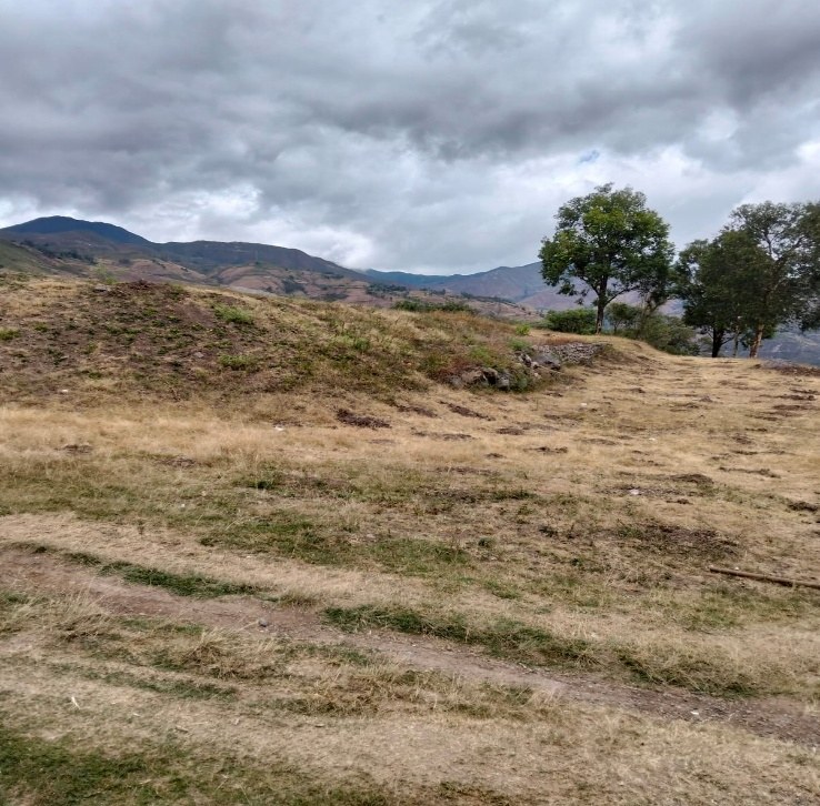 Terreno antes de iniciar la Tecnofinca.