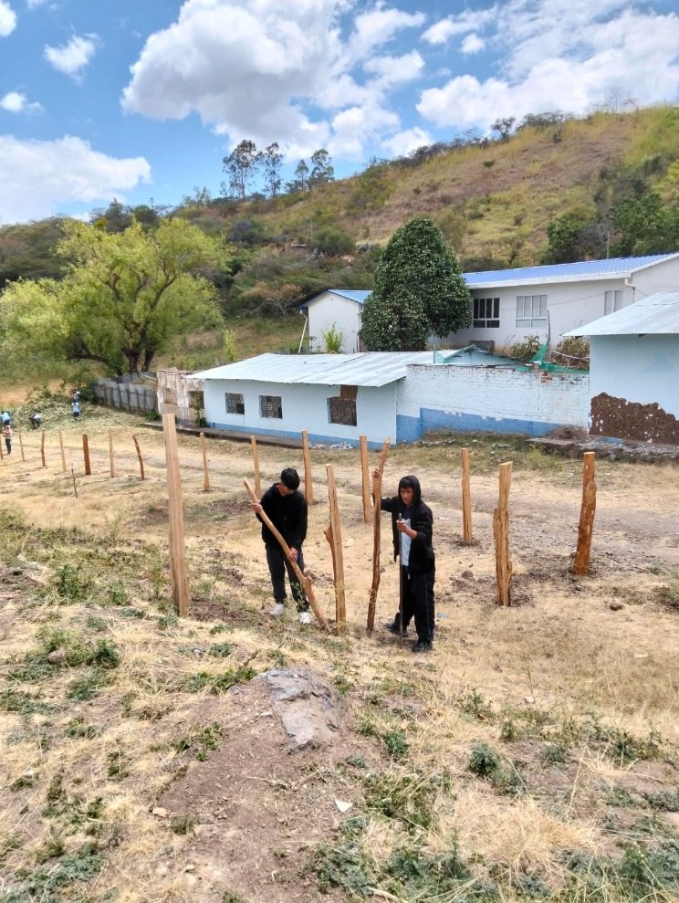Construcción del cerco de la finca
