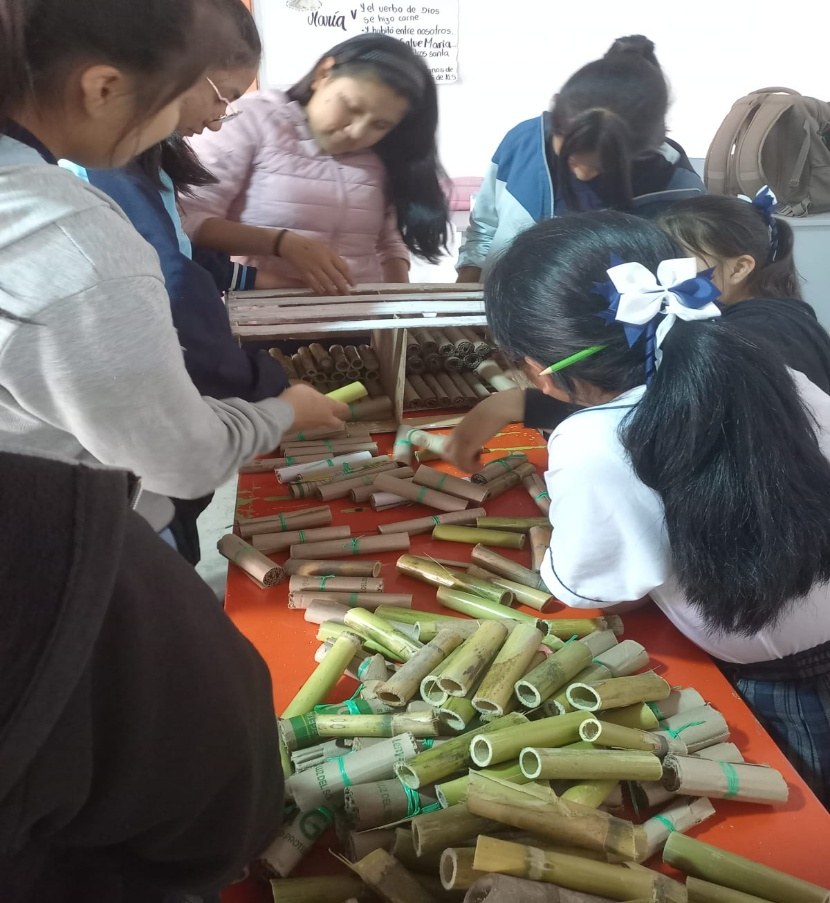 Estudiantes construyendo un refugio para los insectos beneficiosos.