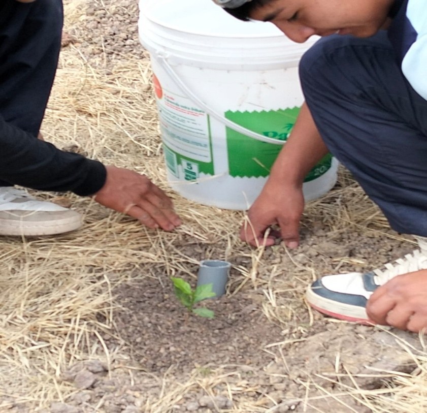 Estudiante aplicando la técnica de riego profundo junto a una planta